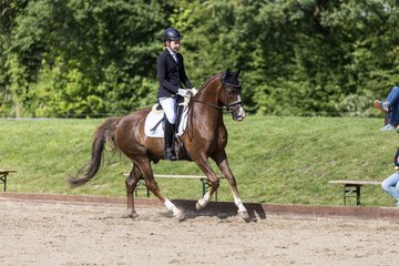 Bild 634 - Pony Akademie Turnier